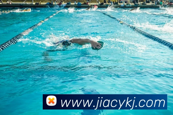 多媒体互动体验